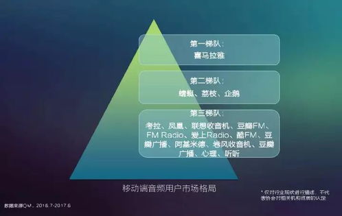 2017中國網絡視聽發(fā)展報告 用戶付費意識崛起與網生內容品質化轉型